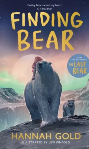 Couverture de 'Finding Bear'