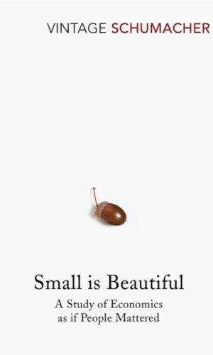 Couverture de SMALL IS BEAUTIFUL - 9780099225614