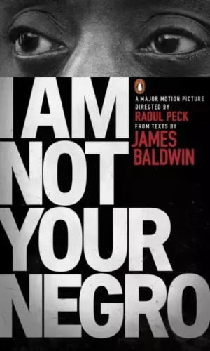 I AM NOT YOUR NEGRO