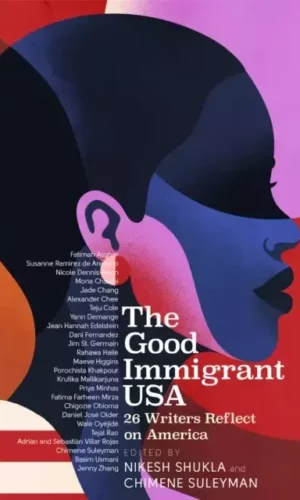 THE GOOD IMMIGRANT USA