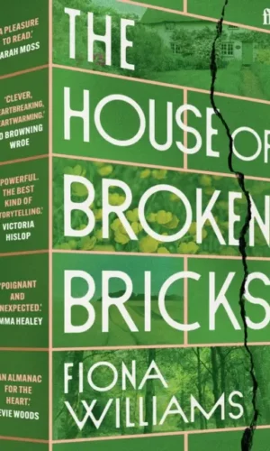 The House of Brocken Bricks - Fiona Williams