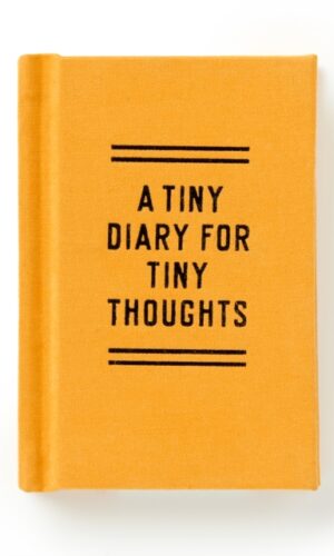 Couverture de 'A TIny Diary for Tiny Thoughts'