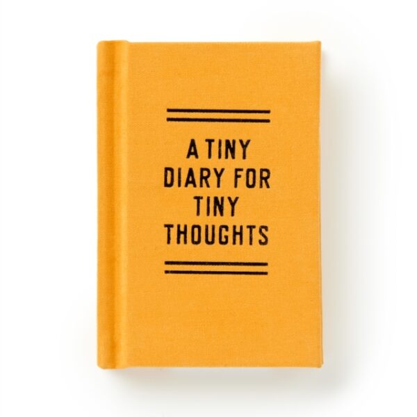 Couverture de 'A TIny Diary for Tiny Thoughts'