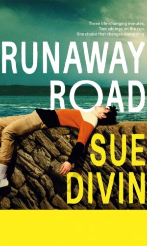Runaway Road - Sue Divin - 9781035087174