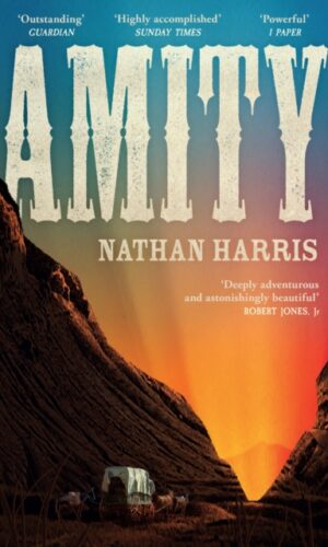 Amity by Nathan Harris - 9781035404698