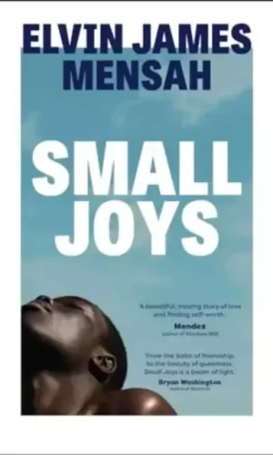 SMALL JOYS
