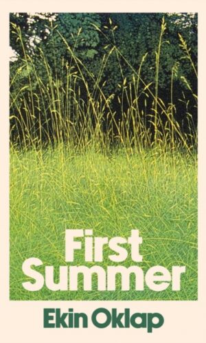 First Summer - Ekin Oklap - 9781398551589