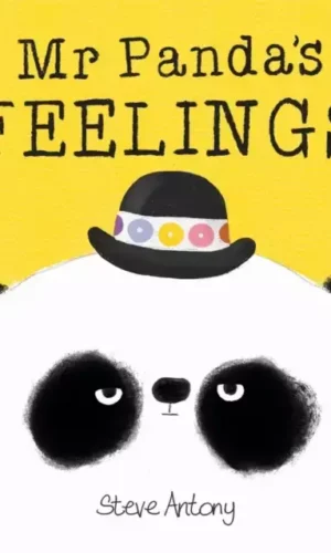 MR PANDA'S FEELINGS