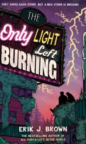 THE ONLY LIGHT LEFT BURNING