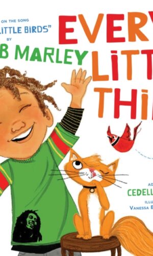 Couverture de EVERY LITTLE THING - 9781452142906