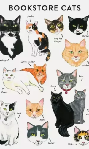 BOOKSTORE CATS (NOTEBOOK)