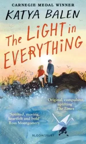 THE LIGHT IN EVERYTHING