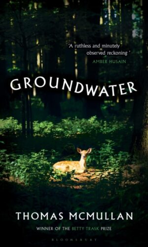 Couverture de GROUNDWATER - 9781526678027
