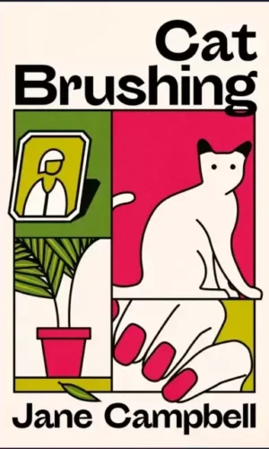 CAT BRUSHING