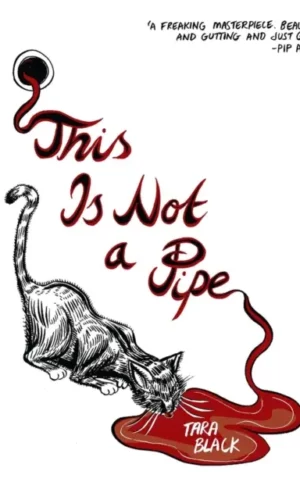 Couverture de 'This Is Not a Pipe'