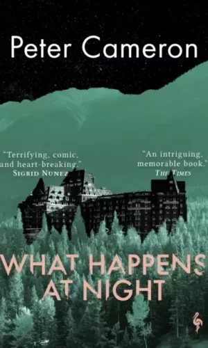 WHAT HAPPENS AT NIGHT