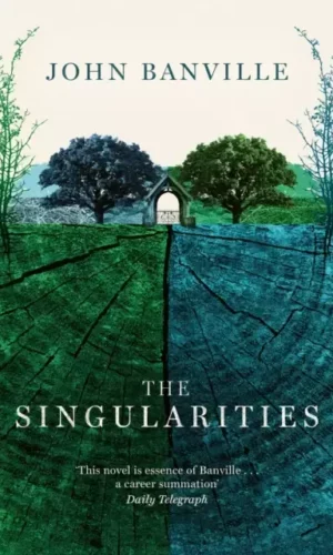 THE SINGULARITIES