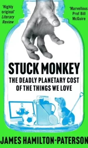 STUCK MONEY