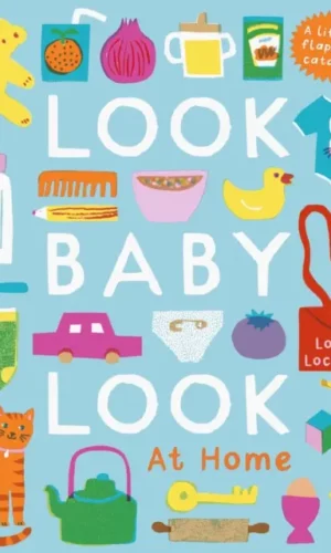 Couverture de 'Look Baby Look At Home'