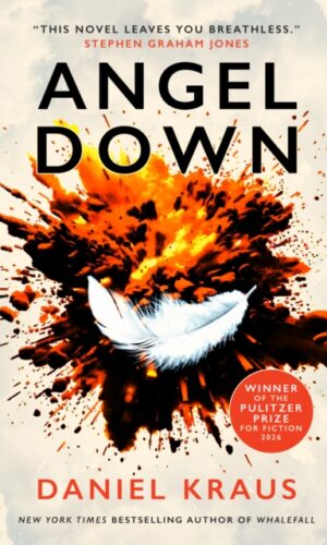 Angel Down - Daniel Kraus - 9781835415382