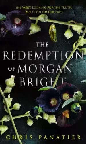 THE REDEMPTION OF MORGAN BRIGHT