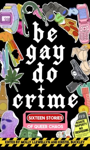 Couverture de 'be gay, do crime'