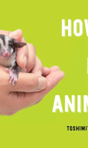How to Hold Animals - Toshimitsu Matsuhashi